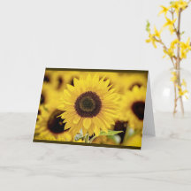 Sunflower Greeting Card