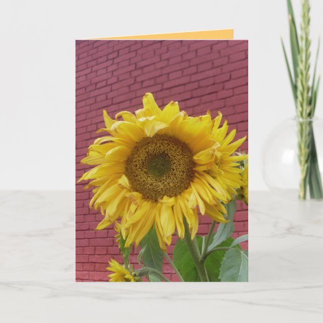 Sunflower Greeting Card (Front)