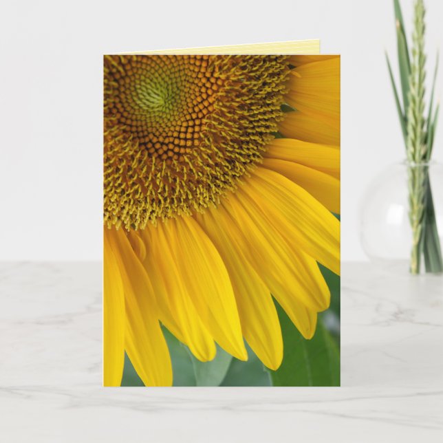 "sunflower" GREETING CARD (Front)