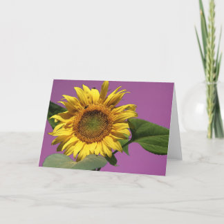 Sunflower Greeting Card