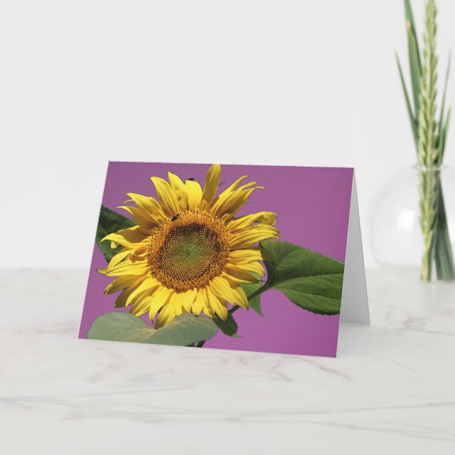 Sunflower Greeting Card (Front)