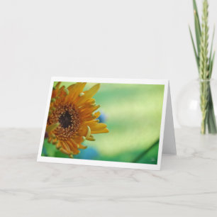 Sunflower [Greeting Card] Card