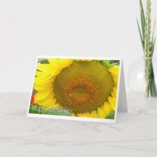 sunflower  happy birthday card