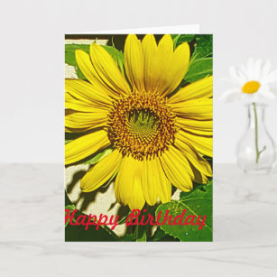 Happy Birthday With Sunflower Gifts on Zazzle NZ