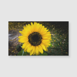 Sunflower Head Fridge Magnet