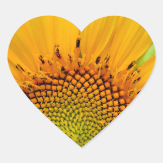 Sunflower Heart Sticker