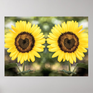 Sunflower hearts in love poster