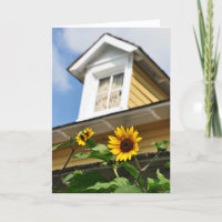Sunflower House yellow flowers summer