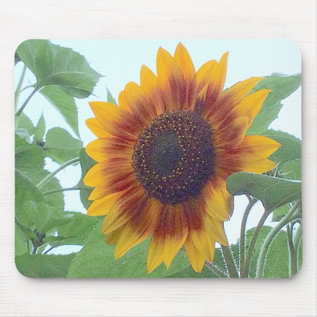 Sunflower in a Pale Blue Sky --- Mouse Pad (Front)