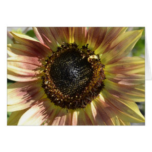Sunflower in Autumn Card