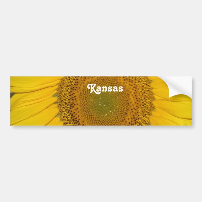 Sunflower in Kansas Bumper Sticker (Front)