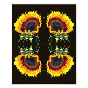 Sunflower In Sunshine Abstract Flower Art 8x10 Photo Print