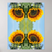 Sunflower In Sunshine Abstract Flower Art 