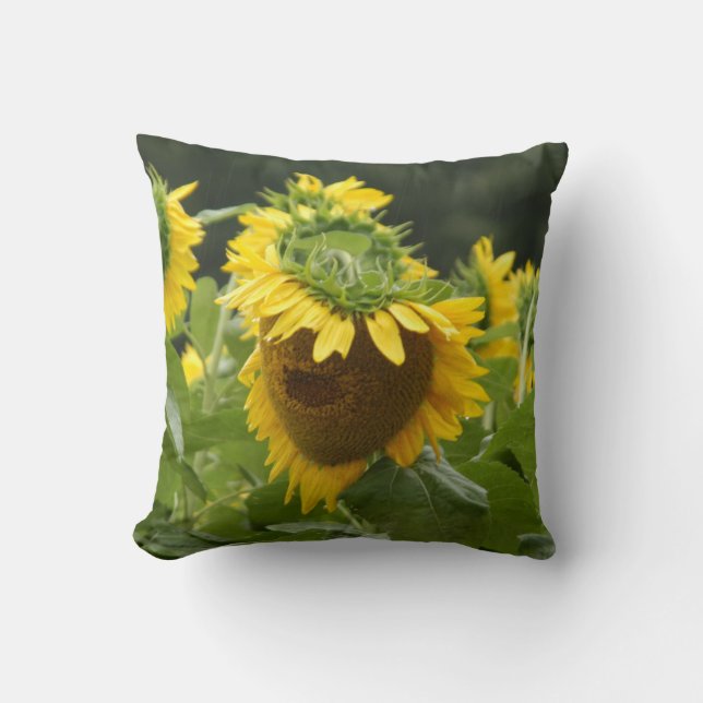 Sunflower in the Rain Cushion (Front)