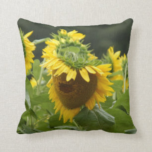 Sunflower in the Rain Cushion
