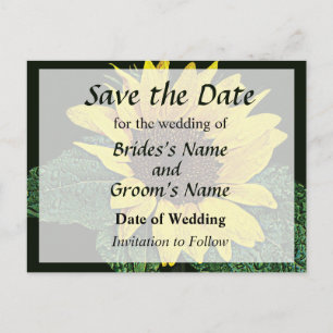 Sunflower in the Rain Save the Date Announcement Postcard