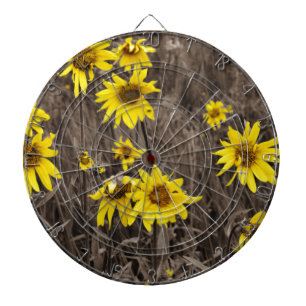 Sunflower in the Rocky Mountain Dartboard