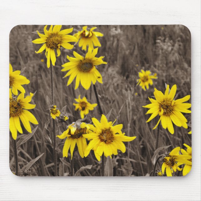 Sunflower in the Rocky Mountain Mouse Pad (Front)