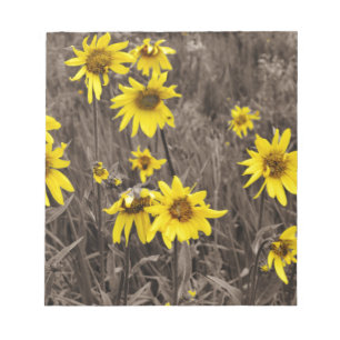 Sunflower in the Rocky Mountain Notepad