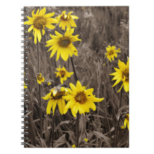Sunflower in the Rocky Mountain Spiral Notebook