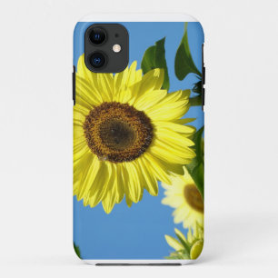 Sunflower iPHONE 5 covers Yellow Sun Flowers