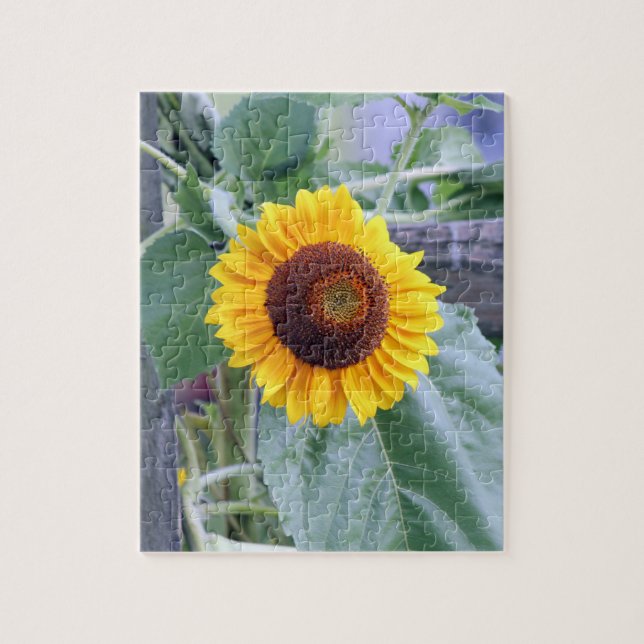 sunflower jigsaw puzzle (Vertical)