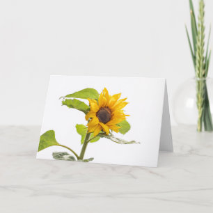 Sunflower Kissing the Sky Card
