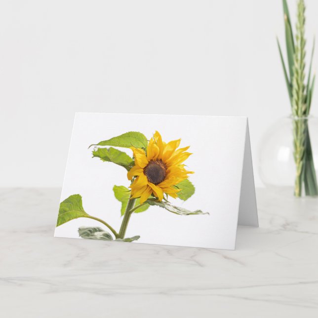 Sunflower Kissing the Sky Card (Front)