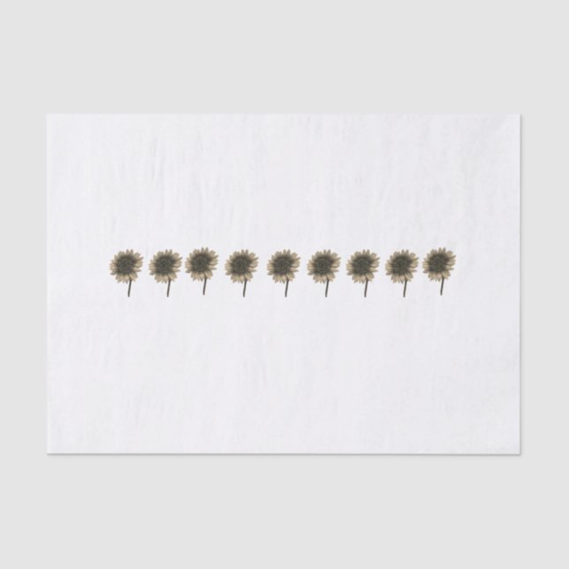 Sunflower Live, Laugh, Love Tissue Paper (Front)