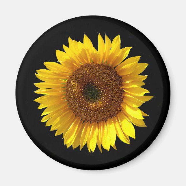 Sunflower Magnet (Front)