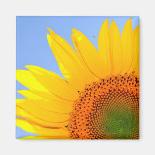 Sunflower Magnet