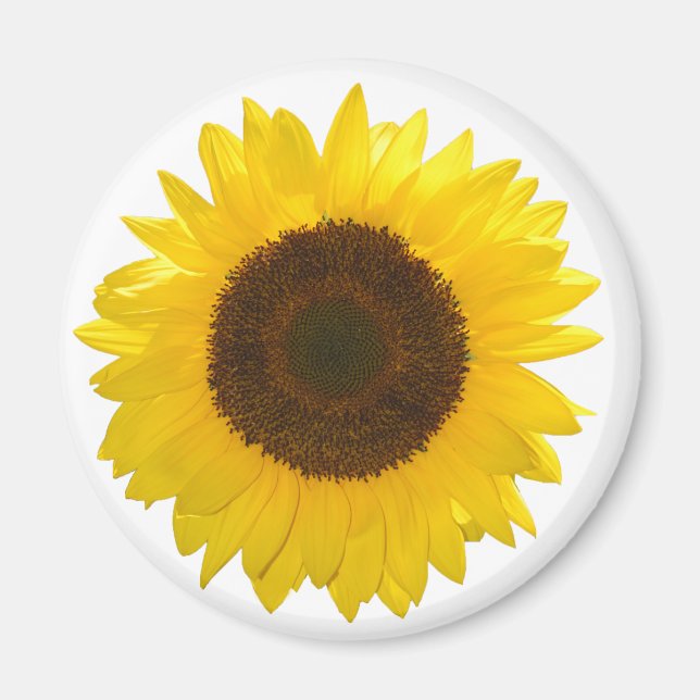 Sunflower Magnet (Front)