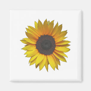 Sunflower Magnet