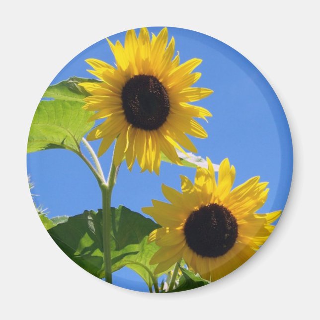 Sunflower  magnet (Front)