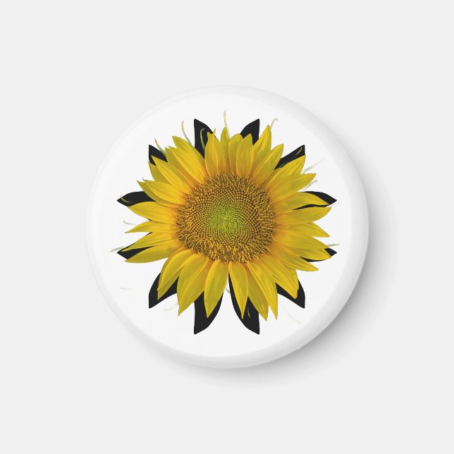 Sunflower Magnet (Front)