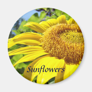 Sunflower magnet Summer Floral Sun Flower magnets