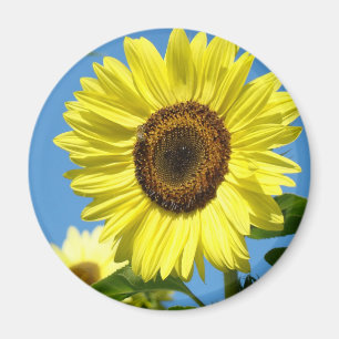SUNFLOWER MAGNETS Refrigerator Magnet Gifts