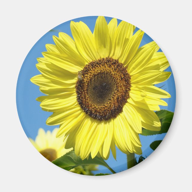 SUNFLOWER MAGNETS Refrigerator Magnet Gifts (Front)