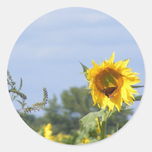 Sunflower Monarch - Customise! Classic Round Sticker (Front)