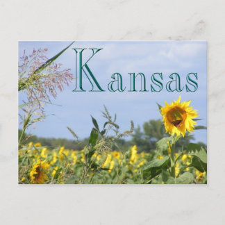 Sunflower Monarch Postcard