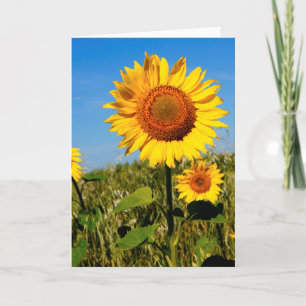 Sunflower Mother's Day Bible Quote Christian Thank You Card