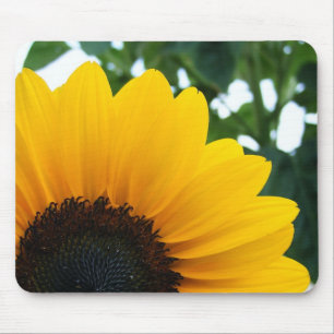 Sunflower Mouse Pad