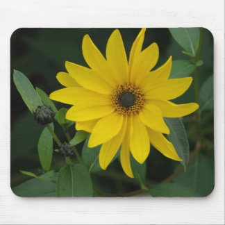 Sunflower Mouse Pad