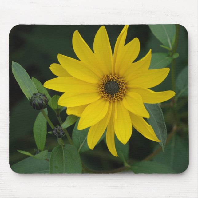 Sunflower Mouse Pad (Front)