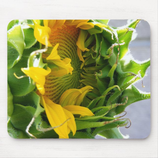 Sunflower Mouse Pad (Front)