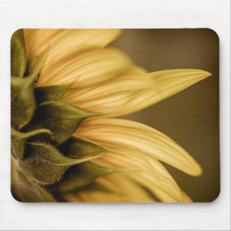 Sunflower Mouse Pad