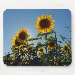 Sunflower Mouse Pad