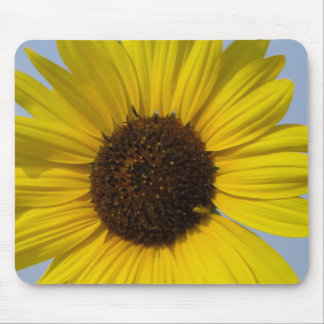 Sunflower Mousepad