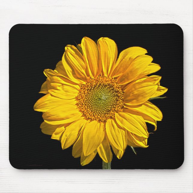 Sunflower mpcna mouse pad (Front)