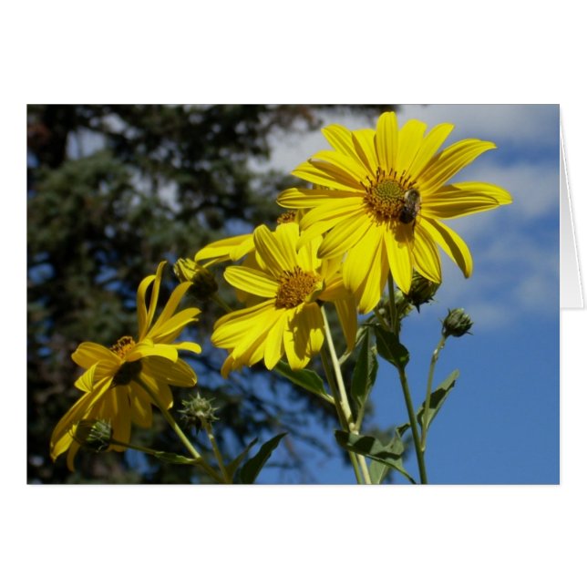 sunflower n bumblebee (Front Horizontal)